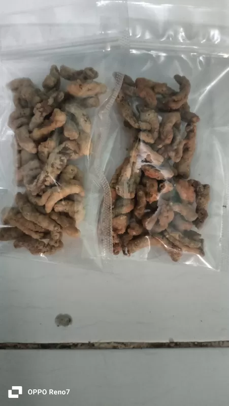 Usus krispy
